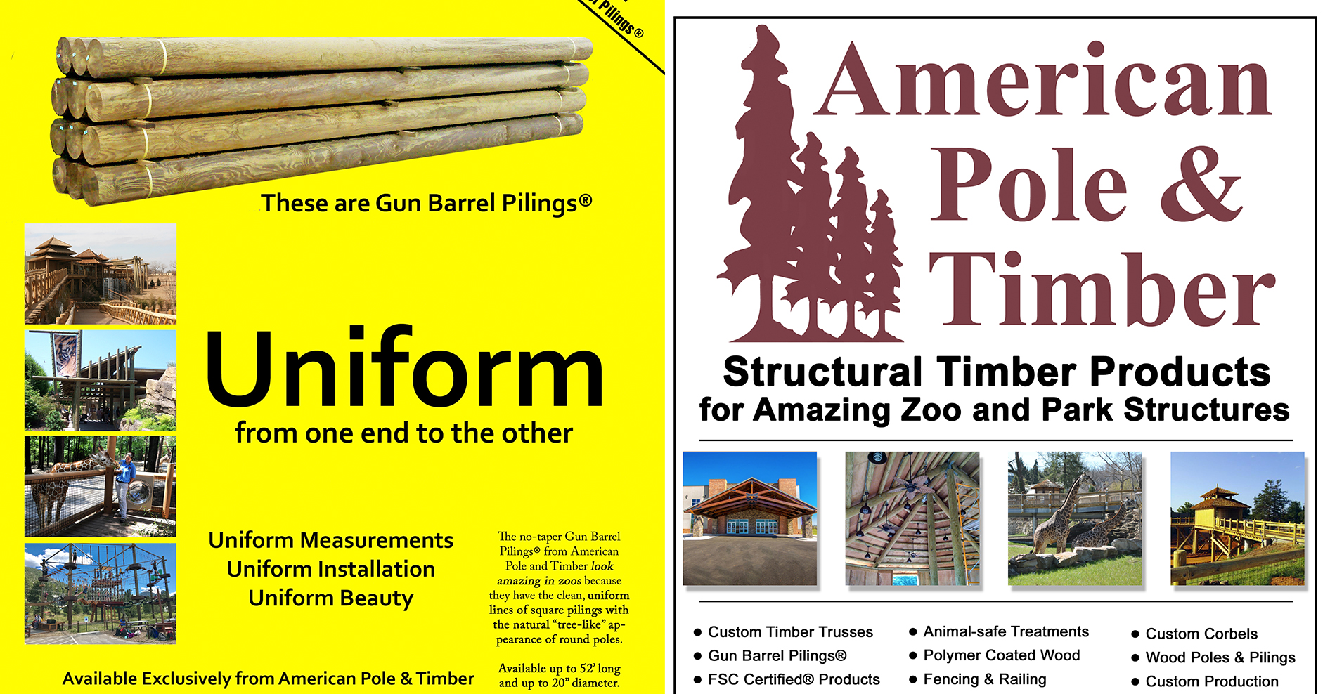 american-pole-and-timber-flyers-and-design-projects